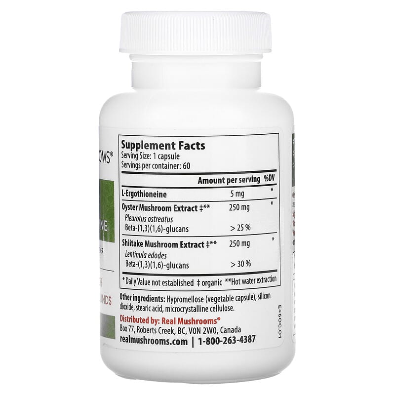 Real Mushrooms ERGO + L-Ergothioneine 60 Capsules 2 Thực phẩm bổ sung Real Mushrooms ERGO + L-Ergothioneine 60 Capsules 628110068385