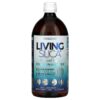 Thực phẩm chức năng Silicium Laboratories LLC Orgono Living Silica Collagen Booster 33.8 fl oz (1 L) 045914998944