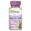 Thực phẩm chức năng Solaray Mastic Gum 500 mg 45 VegCaps 076280036886