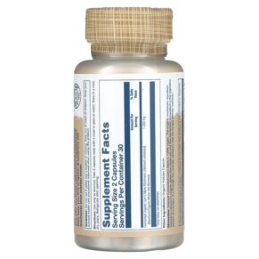 Thực phẩm bổ sung Solaray Organic Fermented Lion's Mane 500 mg 60 Organic Capsules 076280719833