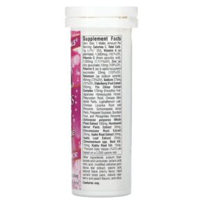 Thực phẩm bổ sung Source Naturals Wellness Fizz Natural Berry Flavor 10 Wafers 021078020516