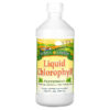 Thực phẩm chức năng Sunny Green Liquid Chlorophyll Peppermint 100 mg 16.2 fl oz (480 ml) 632651560000