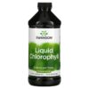 Thực phẩm chức năng Swanson Liquid Chlorophyll 100 mg 16 fl oz (473 ml) 087614060316