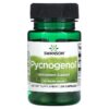 Thực phẩm chức năng Swanson Pycnogenol 100 mg 30 Capsules 087614021751