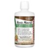Thực phẩm chức năng Vital Earth Minerals Humic Minerals 32 fl oz (946 ml) 855748000009